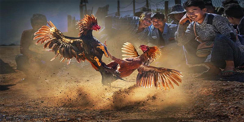 vn8day xổ số bữa nay