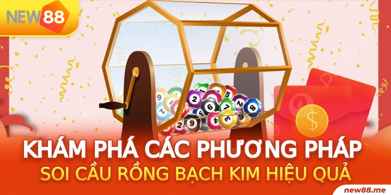 vn8day gà chọi
