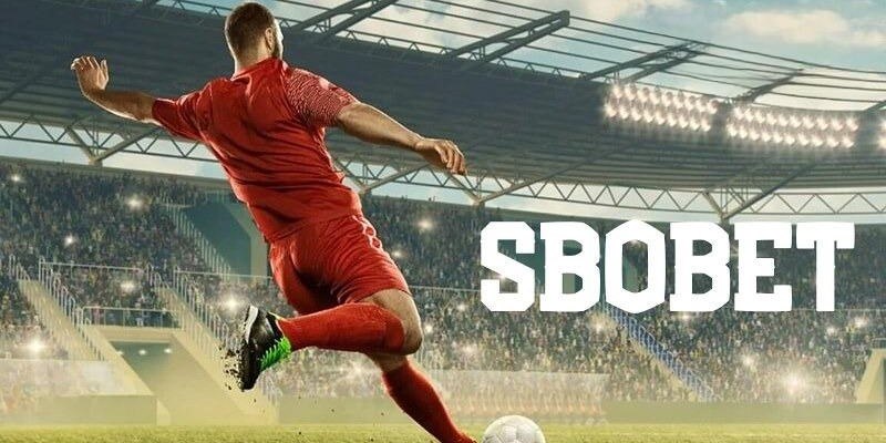 vn8day what is the best online casino for real money