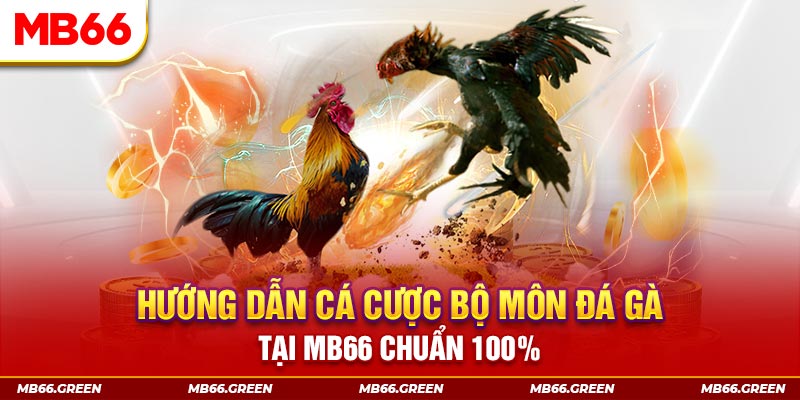 vn8day slot là gi