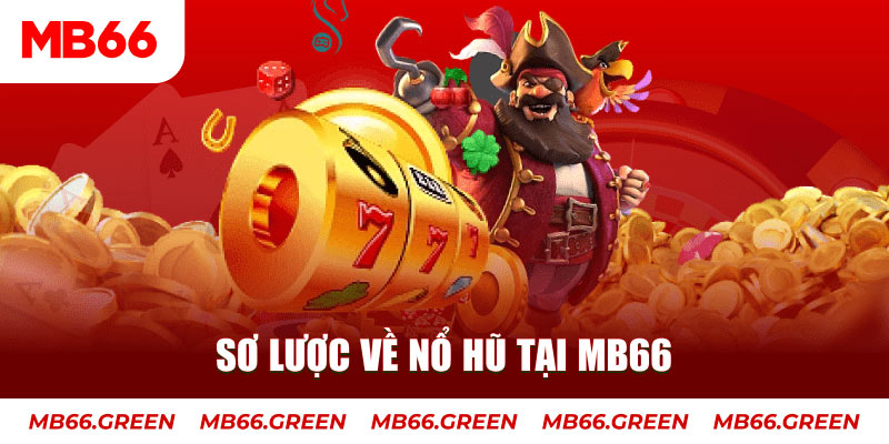 vn8day hết slot la gì