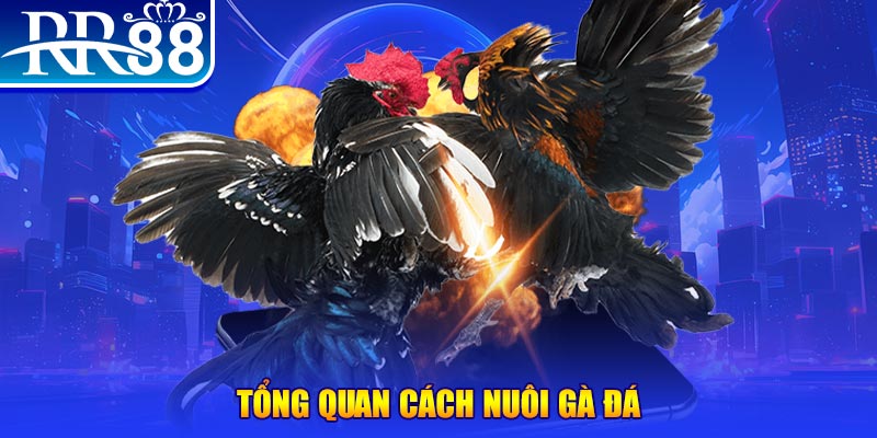 vn8day game nổ hũ rút tiền mặt là gì