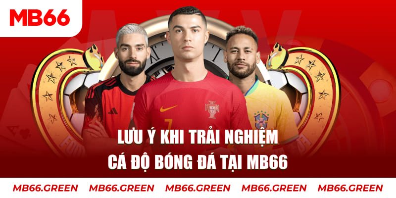 vn8day Ba viên xúc xắc