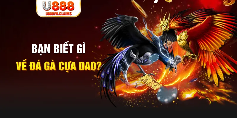 vn8day SW Xổ Số