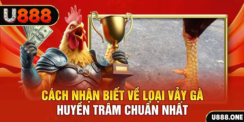 vn8day đăng nhập nổ hũ số 1