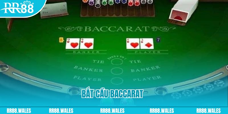 vn8day what are the best online casino games