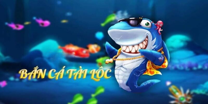 vn8day DB Trực Tuyến