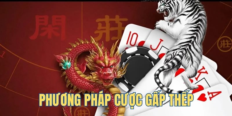 vn8day da ga 88