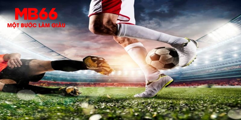 vn8day trực tiếp đá gà thomo
