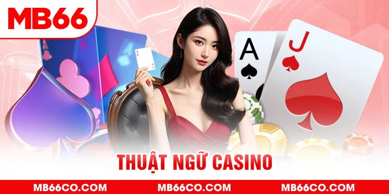 vn8day gà chọi c1 mới nhất