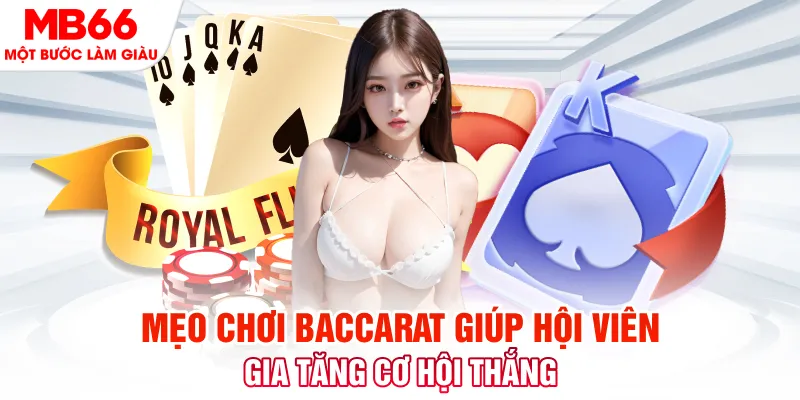 vn8day đăng nhập nổ hũ trực tiếp