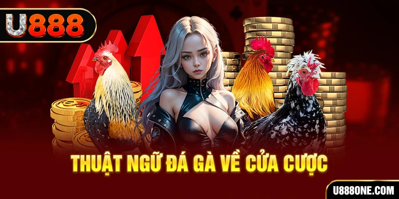 vn8day hơn cả bạn bè