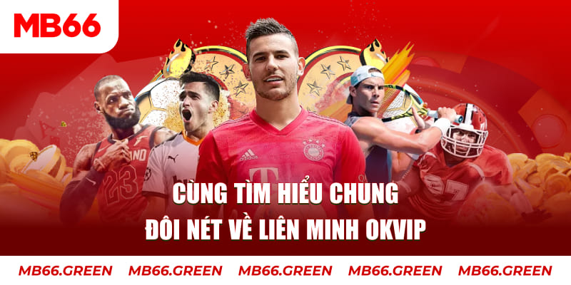 vn8day đá gà trực tiếp bình luận viên