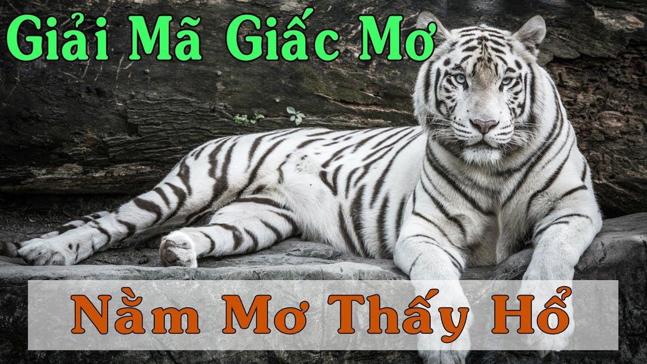 vn8day nổ hũ là game gì