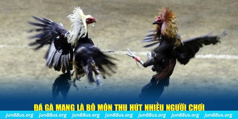vn8day nổ hủ nghĩa là gì