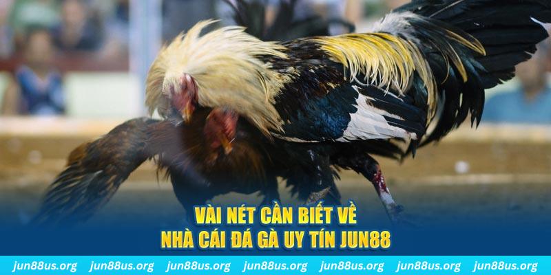 vn8day đăng nhập phỏm khuyến mãi
