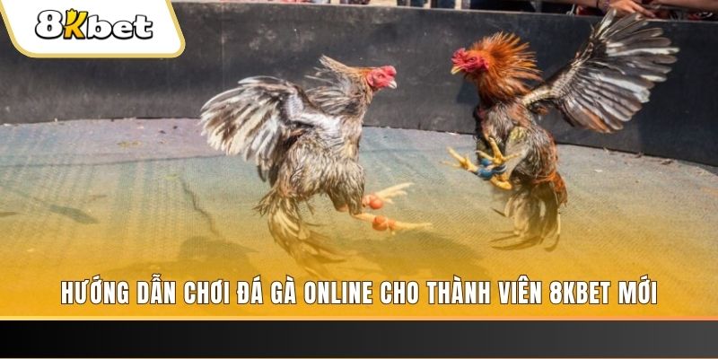 vn8day JILI Game Bài 3d