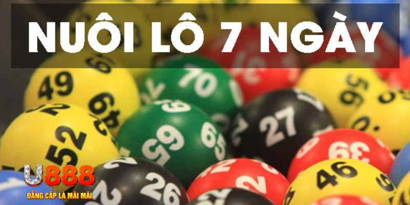 vn8day đăng nhập mậu binh tặng tiền