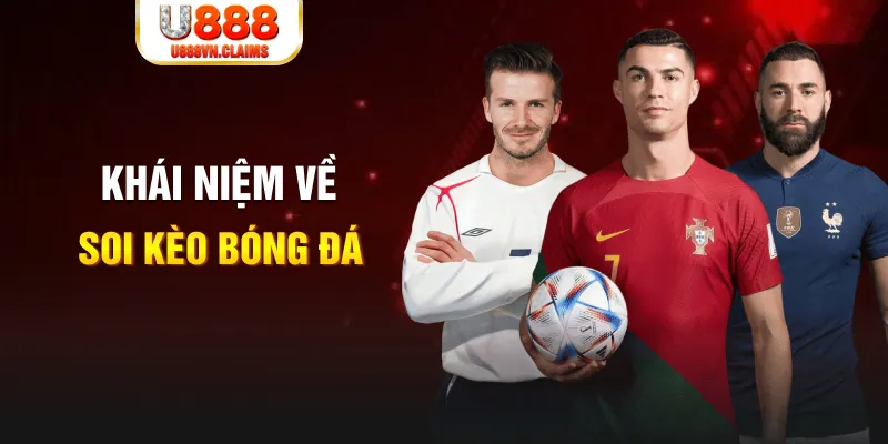 vn8day xổ số cần thơ