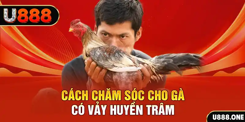 vn8day bắn cá xèng 3