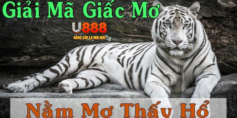 vn8day xổ số miền bắc xổ số miền bắc