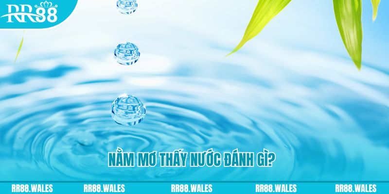 vn8day TCG Xổ Số