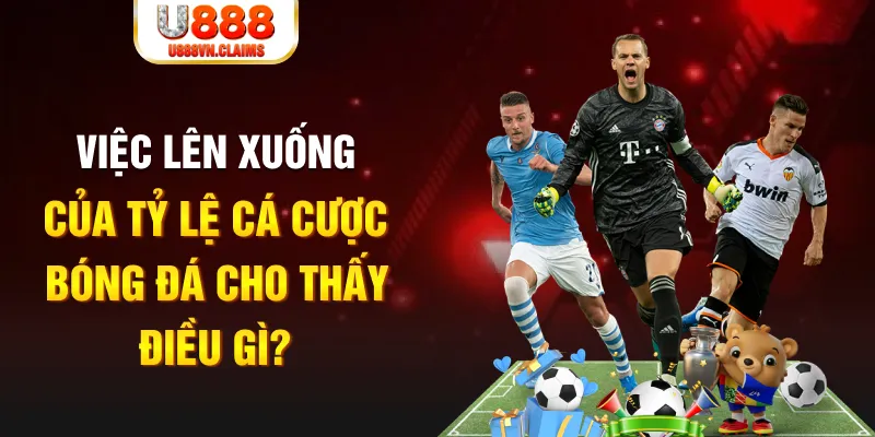 vn8day xổ số tiền giang