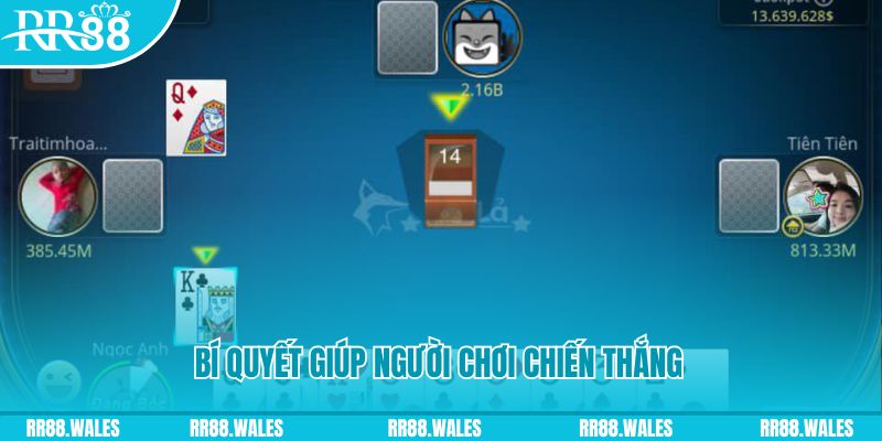 vn8day da ga