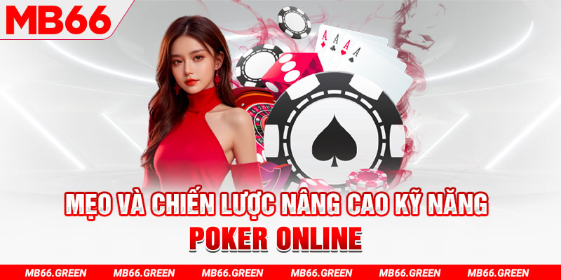 vn8day chổi lông gà