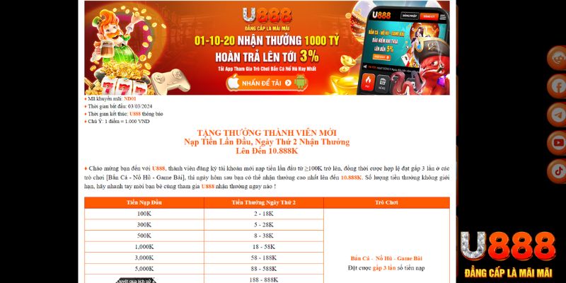 vn8day Bài Tấn