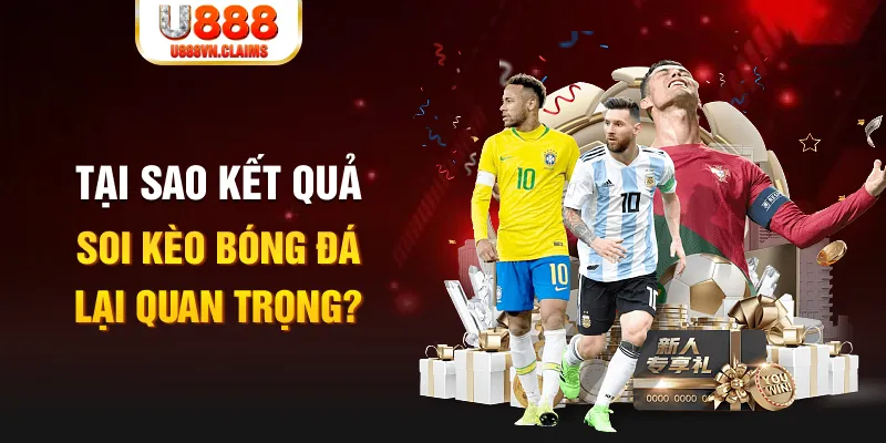 vn8day Tôm Cua Cá 2