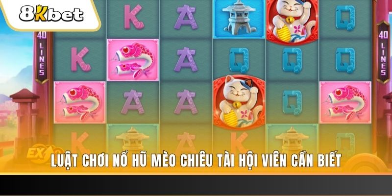 vn8day máy bay nổ hủ