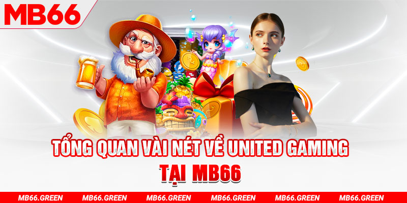 vn8day Đĩa màu ace