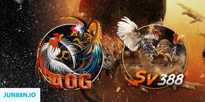vn8day “natural” trong baccarat nghĩa là gì？