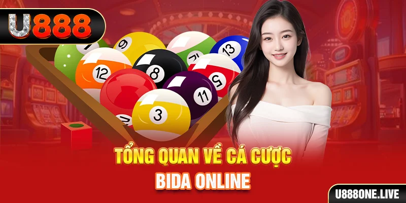 vn8day kết quả xổ số kiến thiết miền bắc