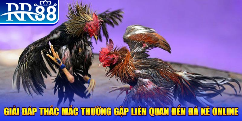 vn8day how to win jackpots on slot machines