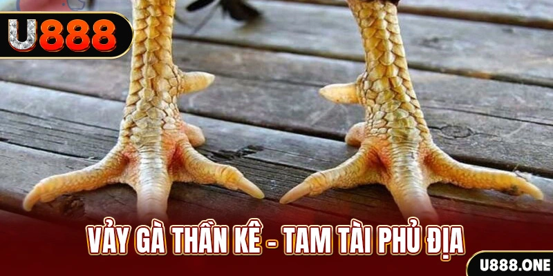 vn8day xổ số miền trung thứ hai hàng tuần
