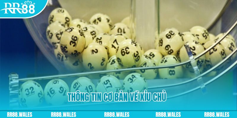 vn8day how to win at slot machines