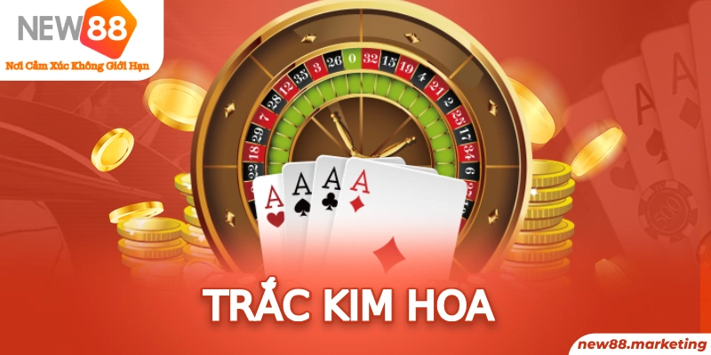 vn8day xổ số kiên giang
