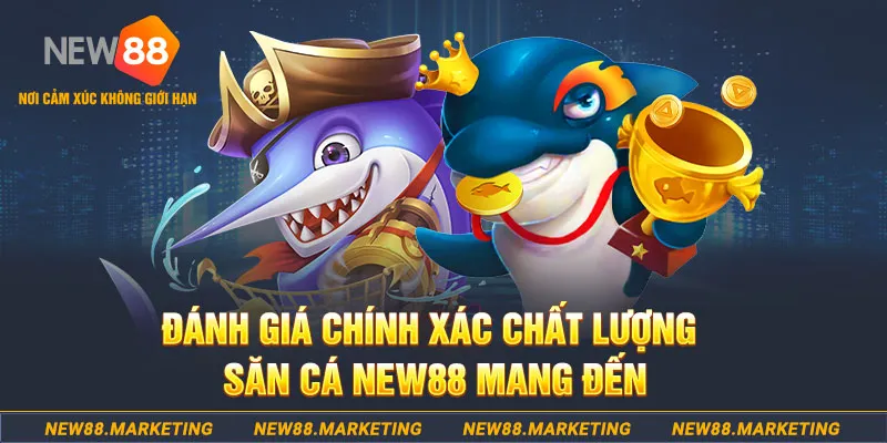 vn8day đăng nhập mậu binh mới nhất