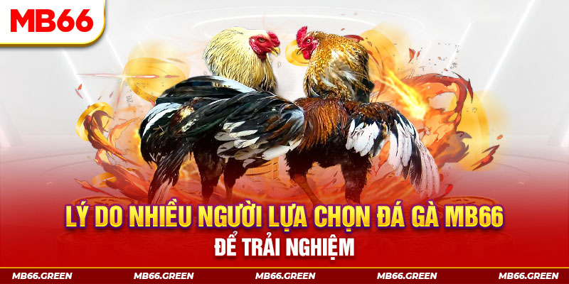 vn8day đăng nhập liêng trực tiếp