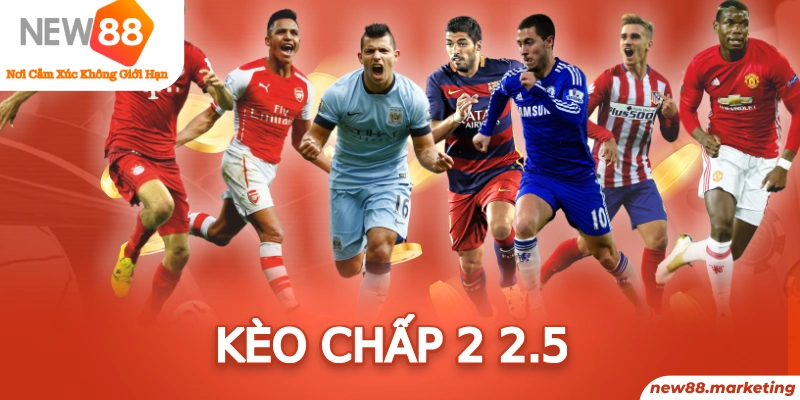 vn8day baccarat có bịp không