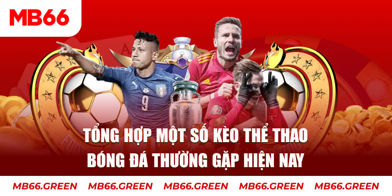 vn8day người chia bài trong casino gọi là gì