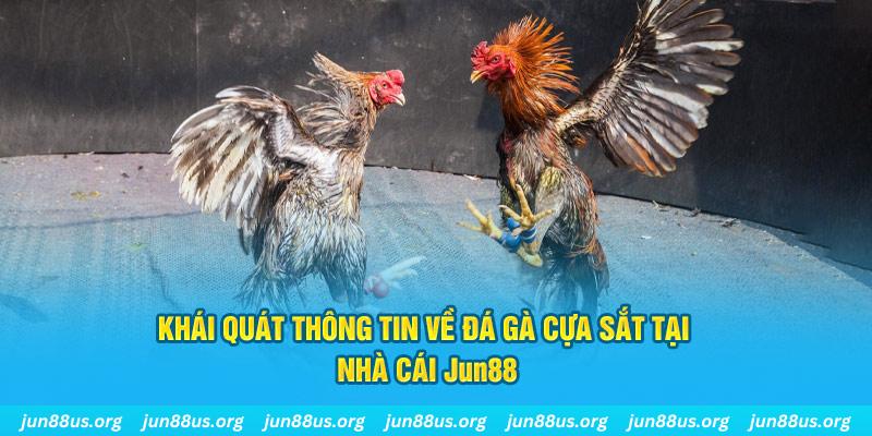 vn8day xổ số miền bắc thứ bảy hàng tuần