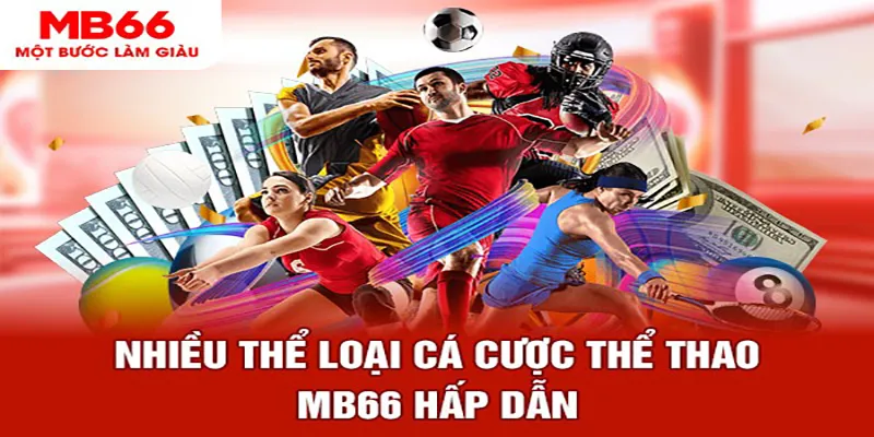 vn8day đá gà thomo