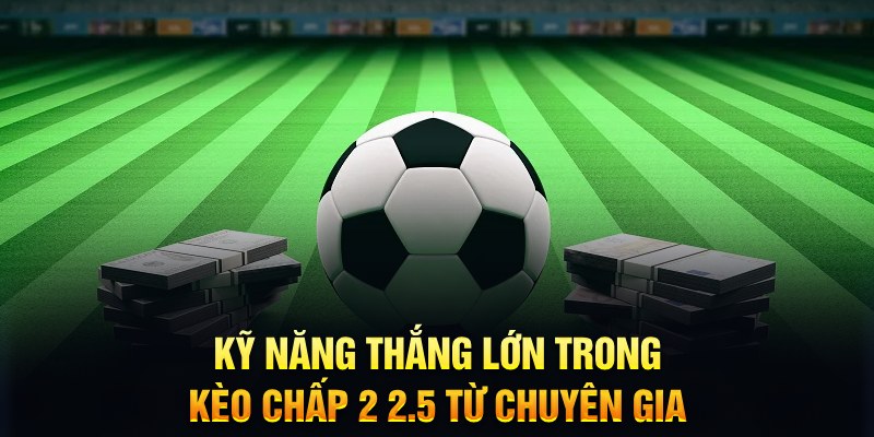 vn8day bao nhiêu điểm nổ hũ 8 bit