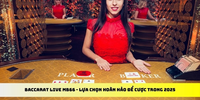 vn8day đăng nhập tiến lên miền nam 2024