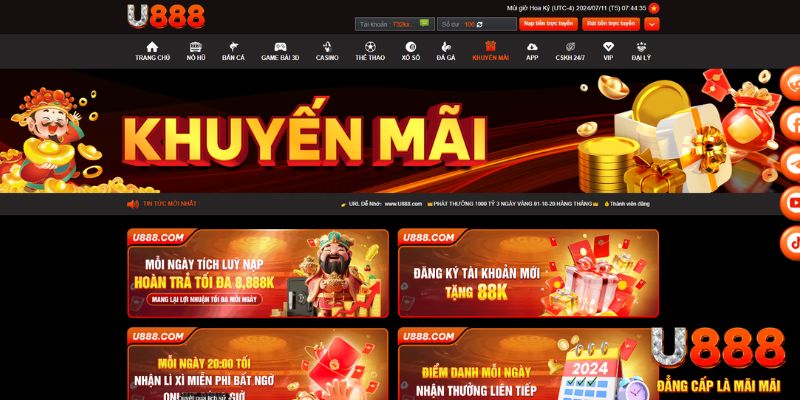 vn8day AOG Đá Gà