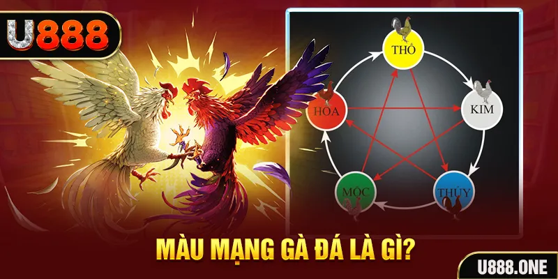 vn8day xổ số miền trung thứ tư hàng tuần