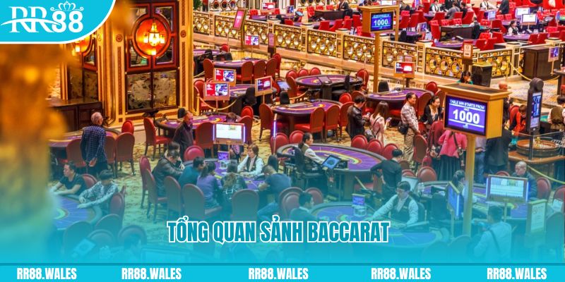 vn8day what is a casino jackpot